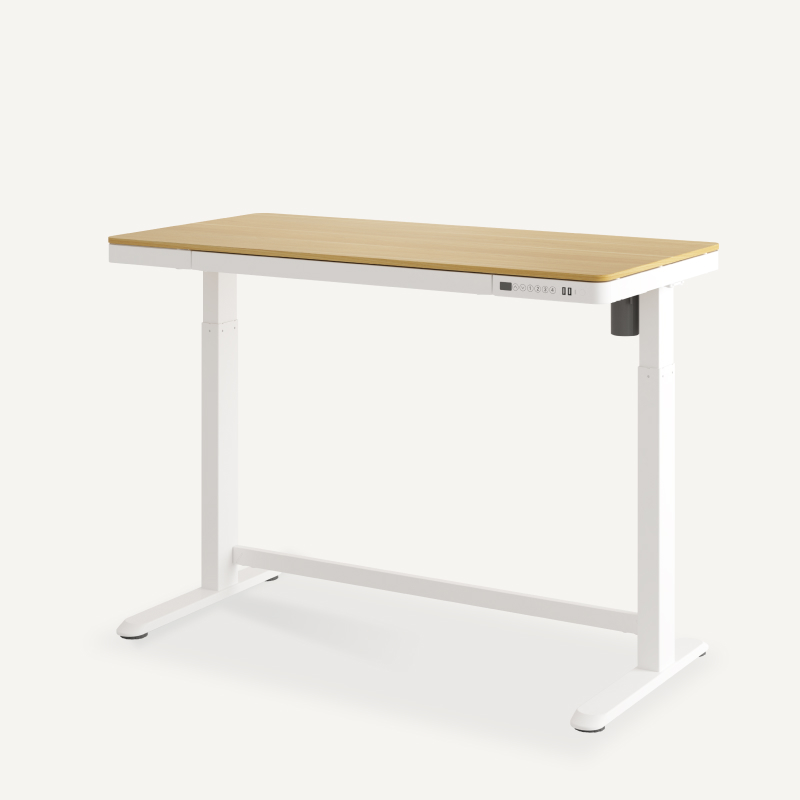 FLEXISPOT EG8 昇降デスク ホワイト 電動昇降式デスクEG8 | FlexiSpot 公式ストア