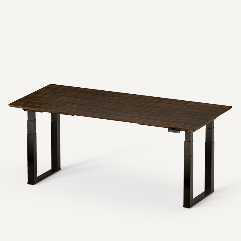 FLEXISPOT E7W フレームのみ FlexiSpot E7 Electric 72 W Height Adjustable Standing Desk
