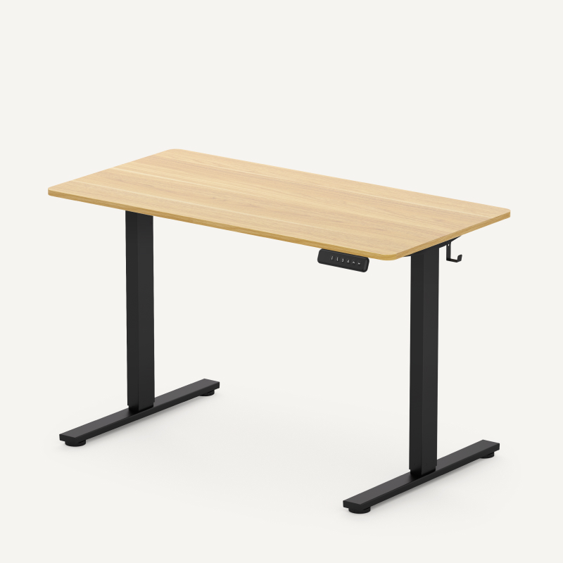 FLEXISPOT EF1B 電動 昇降デスク 足 FlexiSpot 昇降式デスク 昇降デスク 電動 Flexispot EF1 Pro